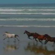 Wildlife Windows 7 Sample Video