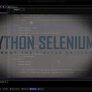 Setup Chromedriver And Firefox Driver For Selenium