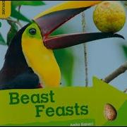 Beast Feasts Anita Ganeri