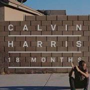 Calvin Harris Sweet Nothing Feat Florence Welch