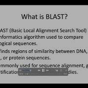 Blast Algorithm Dr Anand T Genetic Engineering SRMIST