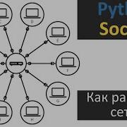 1 Python Socket Как Работает Сеть
