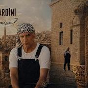 Berdan Mardini Mardinli Misin