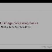 Basics Of Image Processing And Analysis In ImageJ Fiji Part 1