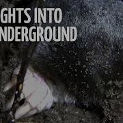 Spectacular Insights Into The Underground Full Documentary