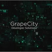GrapeCity 2022 Product Overview