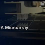 Processing Loblolly Pine PtGen2 CDNA Microarray L Protocol Preview