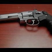 Pellets VS Steel BB S Version Dan Wesson
