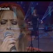 KURUSA FİDANIM GÜLLERİM SOLSA Nilgün KIZILCI Said GÜLEBENZER