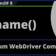Name Command Selenium WebDriver