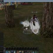 Lineage 2 BUG 1 Euro Pvp