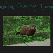 V20 Clustering Week 7 Segmentation