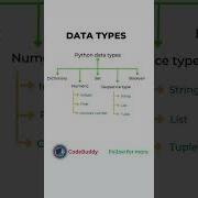 Python Data Types Explained In 1 Minute Quick Guide For Beginners Python Learnpython Pyth