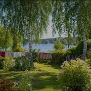 Quiet Spring Yard Through The Window Birds Lake Sounds ASMR Nature For Calm Thoughts Focus