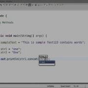 String Class CharAt Concat Substring Format Replace CompareTo Etc