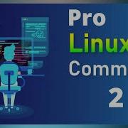 Best Linux Commands With Examples Part 2 2020 Linux Commands With Best Examples