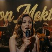 Zerrin Özer Son Mektup Cover