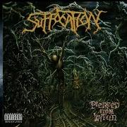 04 Suspended In Tribulation Suffocation HQ 320k