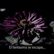 Weezer Butterfly Subtítulos Español