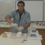 DNA Isolation Step 2 Extracting The DNA