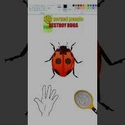 How We Programmers Get Rid Of Bugs Shorts Programming Coding