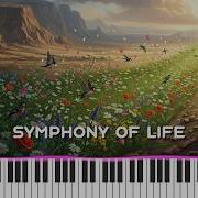 Symphony Of Life MIDI Visualization