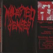 MOLESTED SENSES USA ME Demo 1995 FULL DEMO