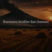 Harmana Serdiler Sarı Samanı