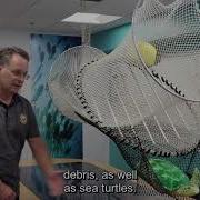U S Department Of State Turtle Excluder Device