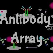 Antibody Array Antibody Microarray Protein Expression Profiling Protein Microarray