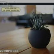 How To Switch To A Different PHP Version Manually Using CPanel