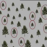 Sample Selection