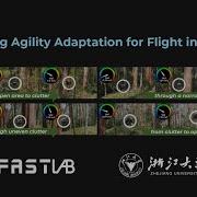Learning Agility Adaptation For Flight In Clutter