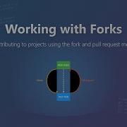 Git Forks Explained Beginner S Guide To Contributing To Open Source
