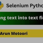 Ввод текста в текстовые поля Selenium Python