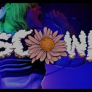 SCOWL 4K MULTICAM FULL SET THE CLASSIC GRAND GLASGOW 12 11 22