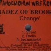 Shadez Of Brooklyn Change Instrumental