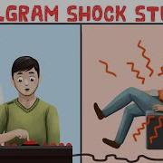 The Milgram Experiment Shock Study On Obedience Conclusions