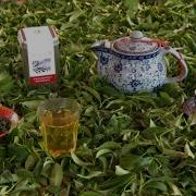 How It S Actually Made Tea