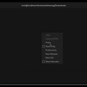 Redhat RHEL 9 6 W NetApp Host Utility 7 1 ISCSI Multipath LUN Mapping
