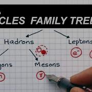 Classification Of Particles A Level Physics