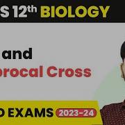 Back And Reciprocal Cross Genetics Principles Of Inheritance And Variation Class 12 Biology