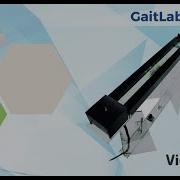 GaitLab CatWalk Method Analysis For Rodents