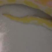 Burmese Python Buttercup Taking A Bath