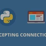 Сетевое программирование Python 4 Принятие соединений программирование сокетов
