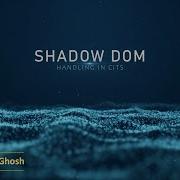 17 Shadow DOM Cognizant Intelligent Test Scripter