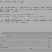 Example Of Cordova Plugin