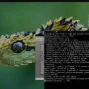 Ubuntu 16 10 Unity 8 Launching Apps From Terminal
