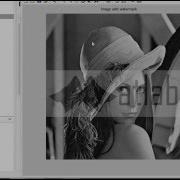 Image Watermarking And Detection
