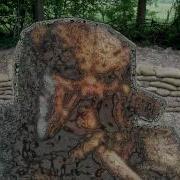 Predator Effect Test